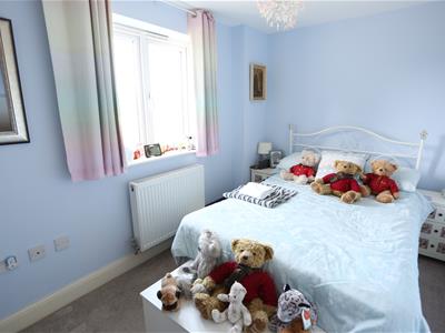 Picture 17